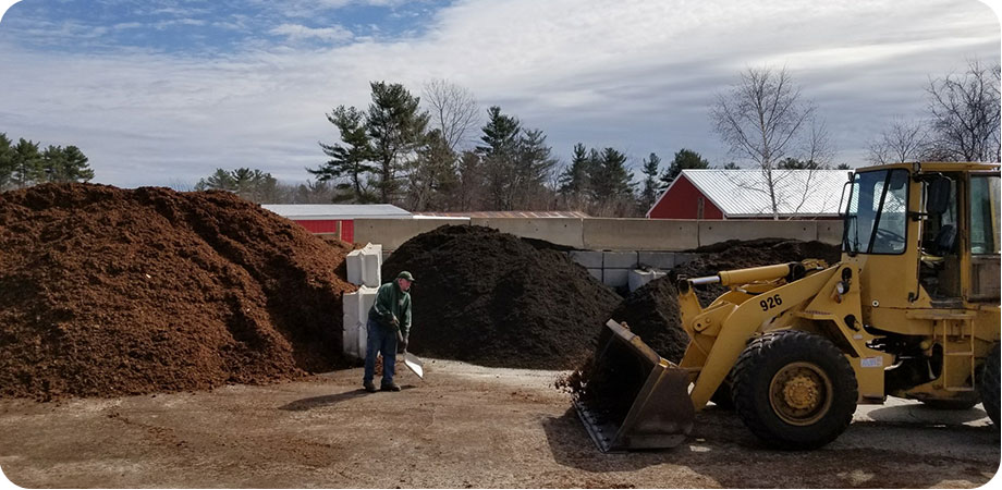 Bark Mulch