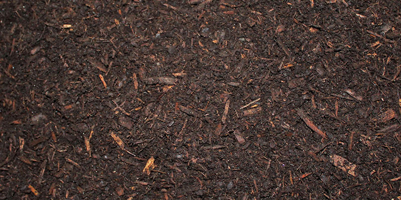 Triple Ground Dark Pine Mulch | $45/yard