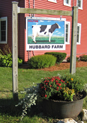 cow sign
