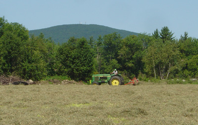 hay rake