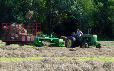 hay baling