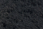 black mulch