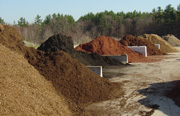 mulch