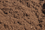 pine mulch
