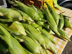 sweet corn