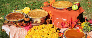 Thanksgiving Pies